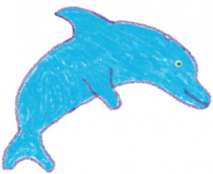 Dolphin